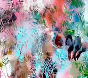 De fri 50x120cm