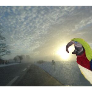 Foto møder maleri nr. 21